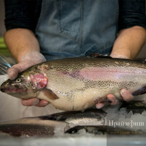 Форель свежая охл. НПСГ, 1 кг