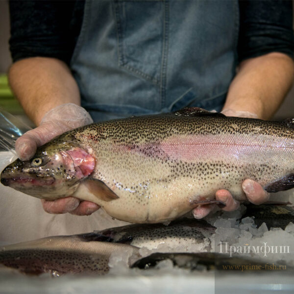 Форель свежая охл. НПСГ, 1 кг