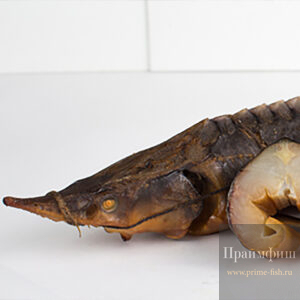 Стерлядь ХК, 1 кг