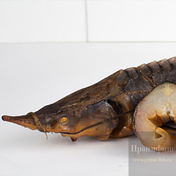 Стерлядь ХК, 1 кг