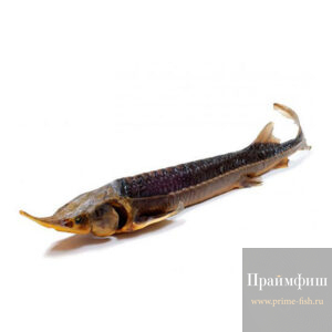 Осетр холодного копчения, 1кг