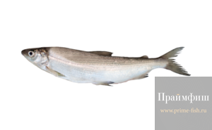 Омуль СМ, 1кг