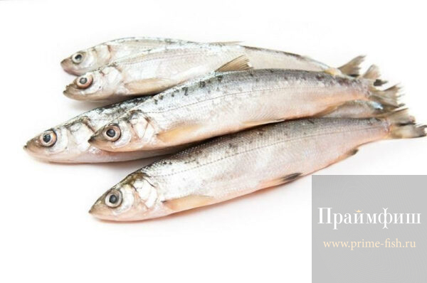 Ряпушка СМ, 1кг