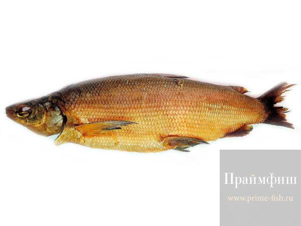 Муксун ХК, 1 кг