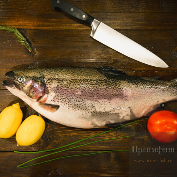 несколько видов форели (семейство лососевых)