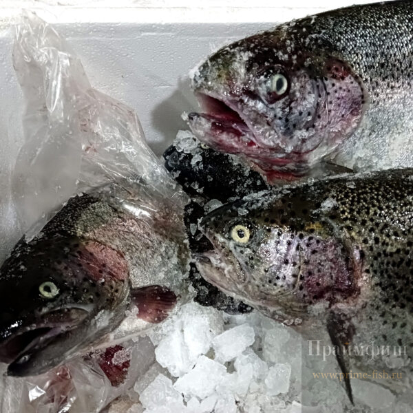 Форель свежемороженая НПСГ, 1 кг