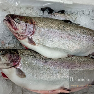 Форель потрошенная с головой