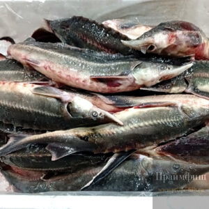 Стерлядь охлаждённая, 1кг
