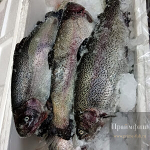 Форель свежемороженая НПСГ, 1 кг
