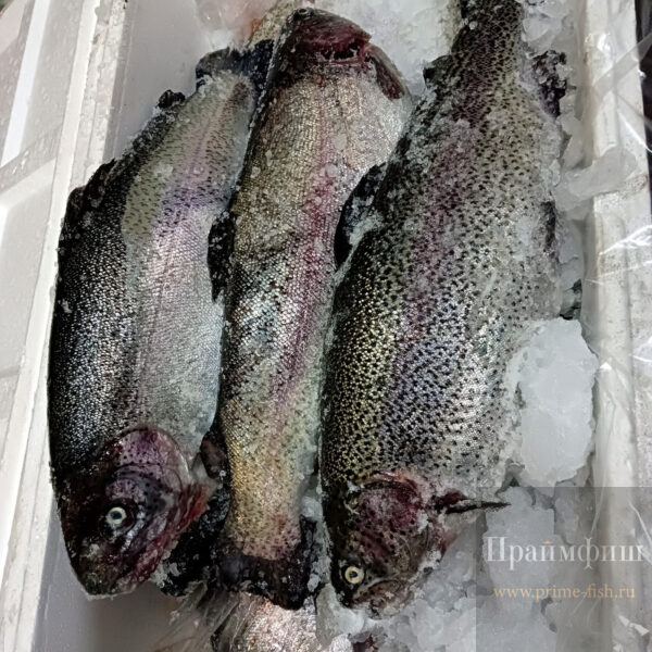 Форель свежемороженая НПСГ, 1 кг