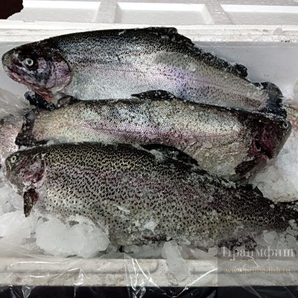 Форель свежемороженая НПСГ, 1 кг