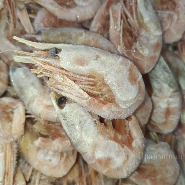 Креветка дикая "Северная", 500 г