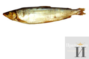 Купить омуля