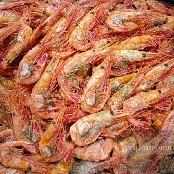 Креветка дикая "Северная", 500 гр