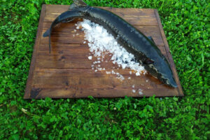 Осётр — легенда русской кухни