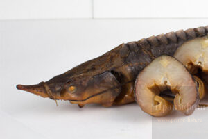 Стерлядь с речных ферм Сибири