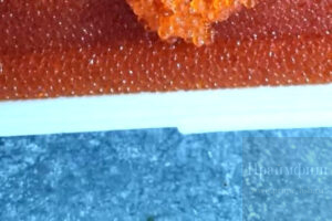 Праймфиш НовосибирскИкра кеты Икра кеты