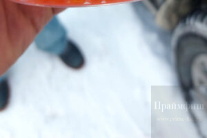 Икра горбуши, кеты, кижуча, чавычи