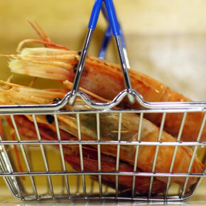 Креветка дикая Ботан