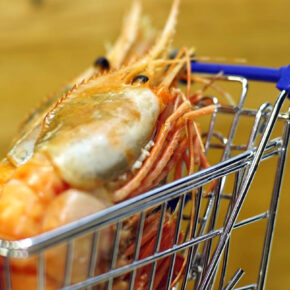 Креветка дикая Ботан