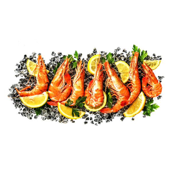 Северная креветка