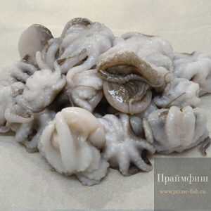 Осьминожки молодые, свежемороженые