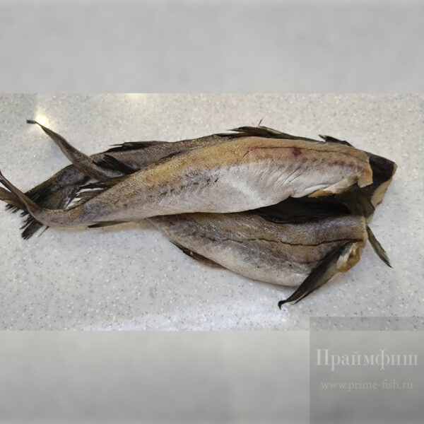 Минтай, свежемороженый, потрошёный, без головы