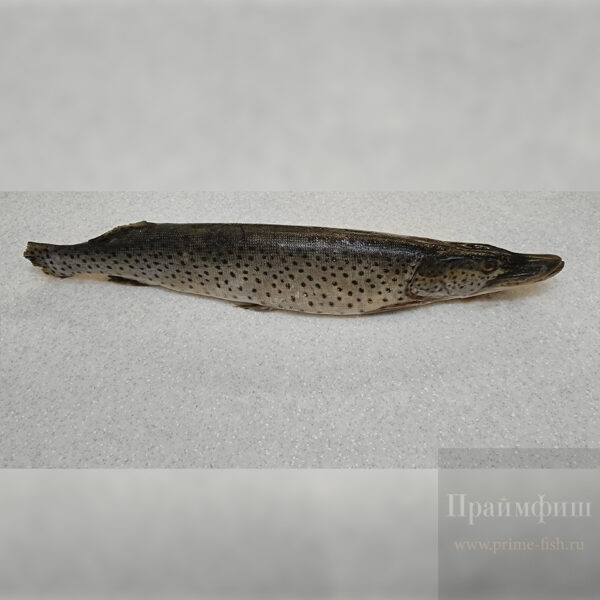 Щука, свежемороженая, 1 кг