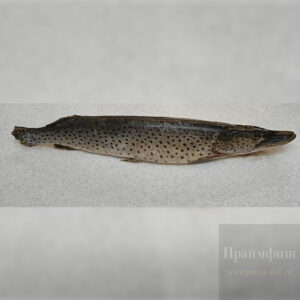 Щука, свежемороженая, 1 кг